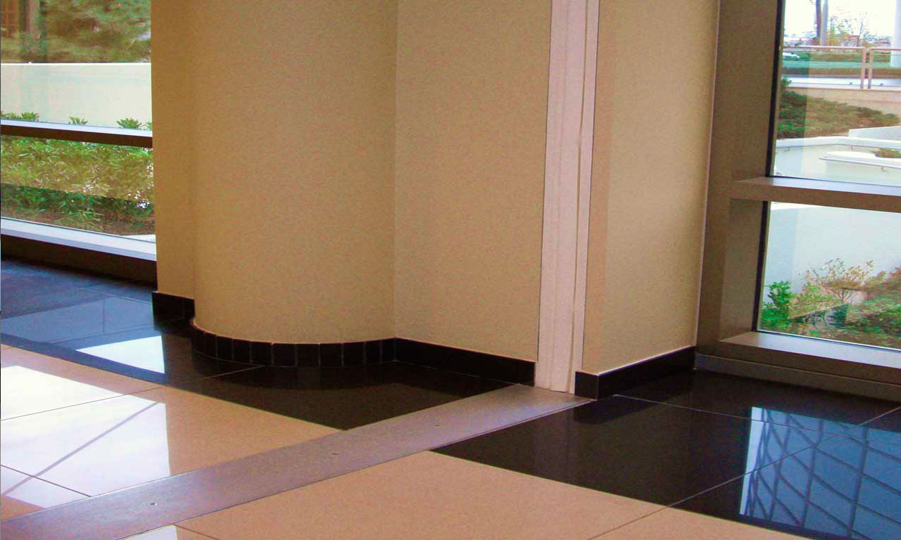 juntas sismicas mexico